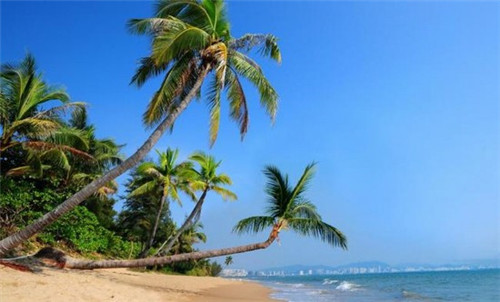 约瑟芬干洗加盟