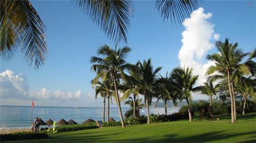 大中电器总店在哪，大中电器加盟费多少
