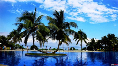 给我放一首什么歌哎呀（给我放个哎呦）