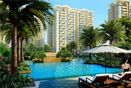 都听我指挥小游戏免费的（都听我的指令）