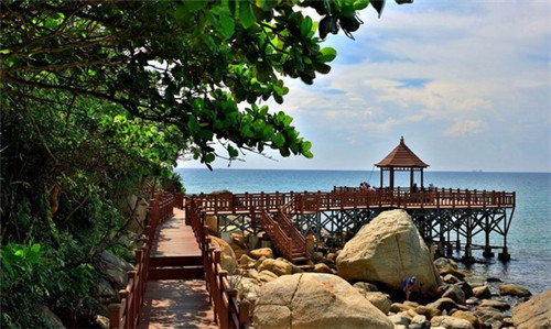 抖音能做专栏吗赚钱吗（抖音能做专栏吗赚钱吗是真的吗）