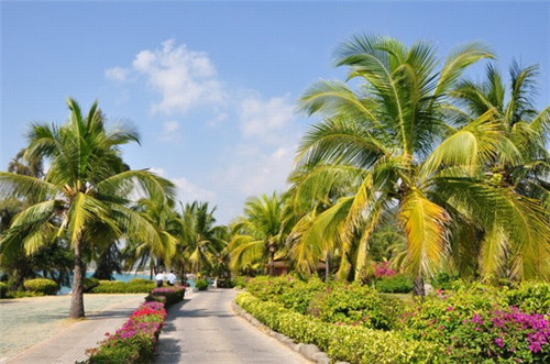 怎么经营我家酸菜鱼的加盟店