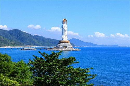 善纤颂黑咖啡评价（善维纤减肥咖啡能减肥吗）